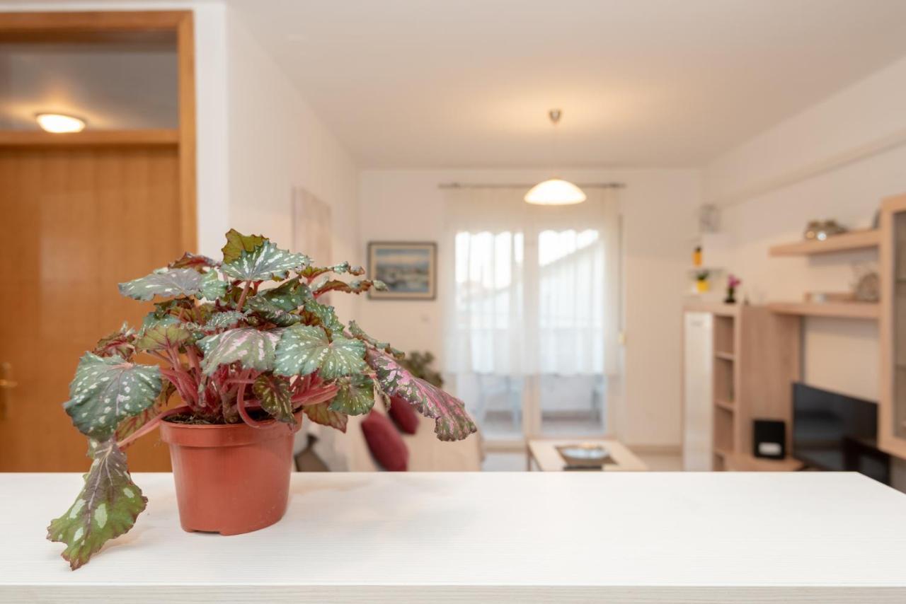 Apartman Valter 자다르 외부 사진